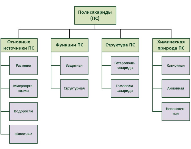 Изображение на обложке