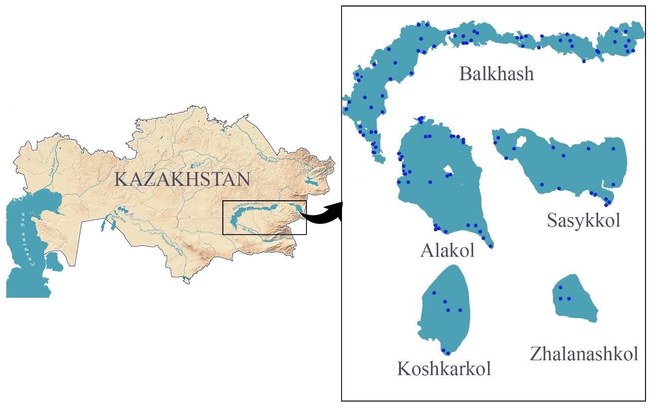 Location map of the Balkhash-Alakol lake system with zooplankton sample points