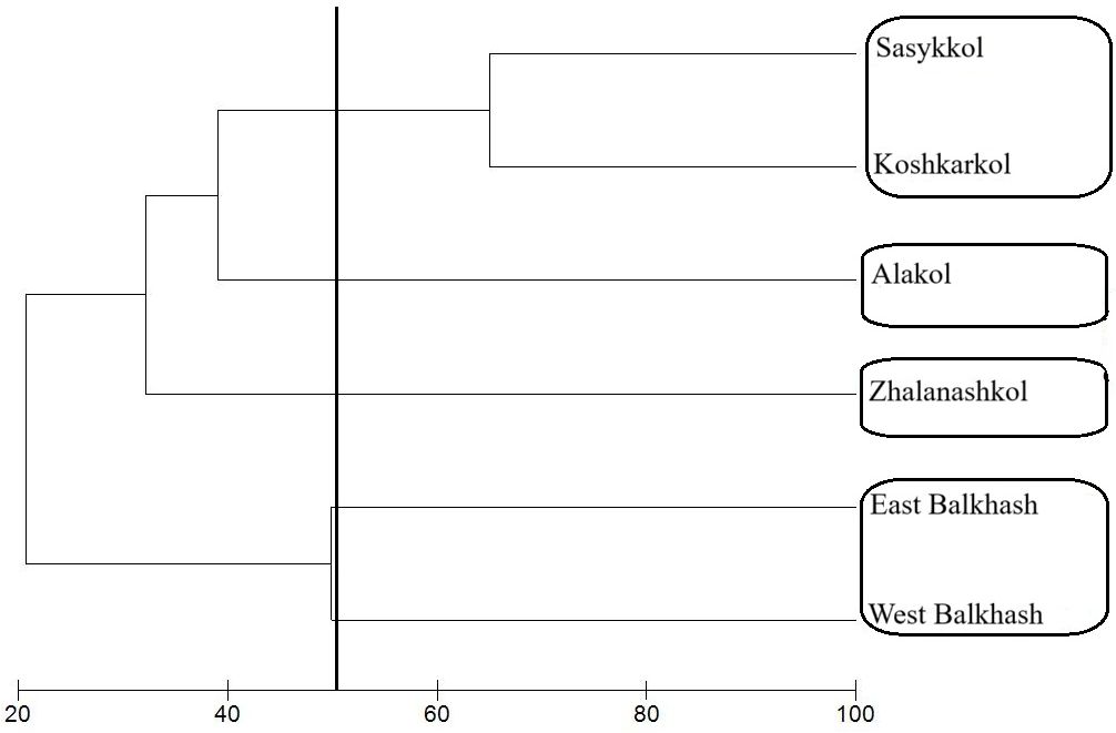 Figure 3: Dendrogram of planktonic crustaceans similarity