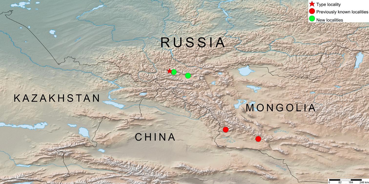 Distribution map of Dasypolia maria