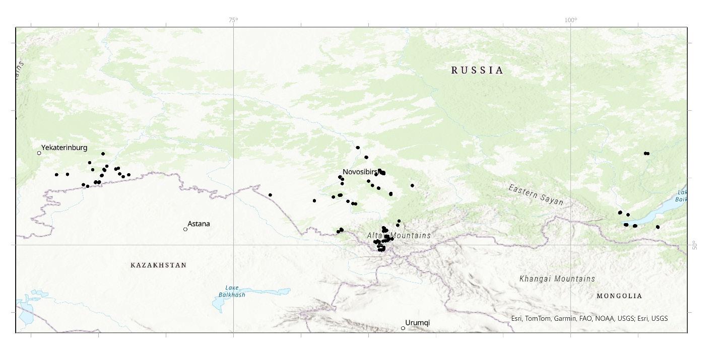 Distribution of L. platythorax in Asian Russia