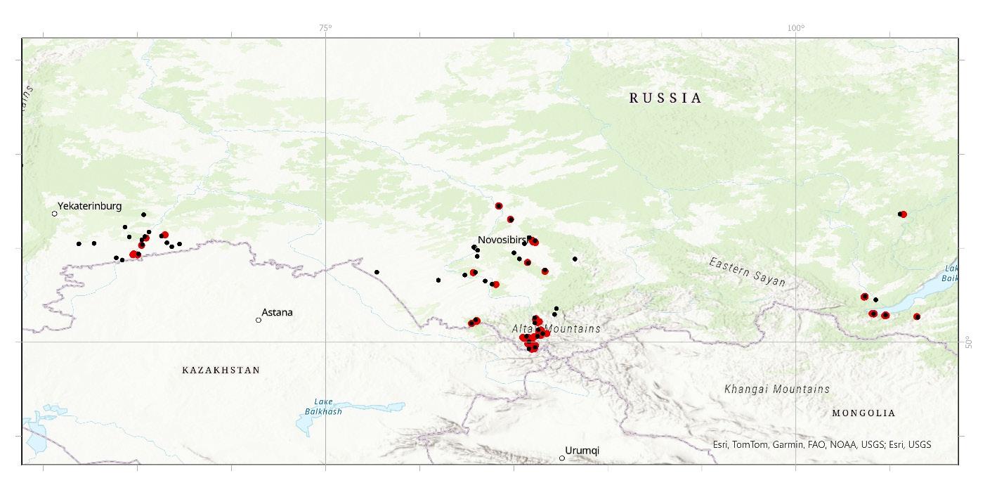 Distribution of L. platythorax after thinning