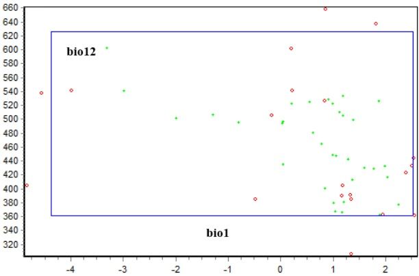 Graphs of the distribution of L. platythorax depending on the average annual temperature and average annual precipitation