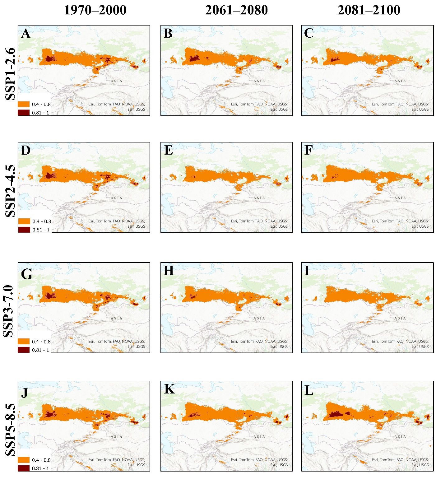 Probable dynamics of territories suitable for L. platythorax due to projected climate change from 1970 to 2100