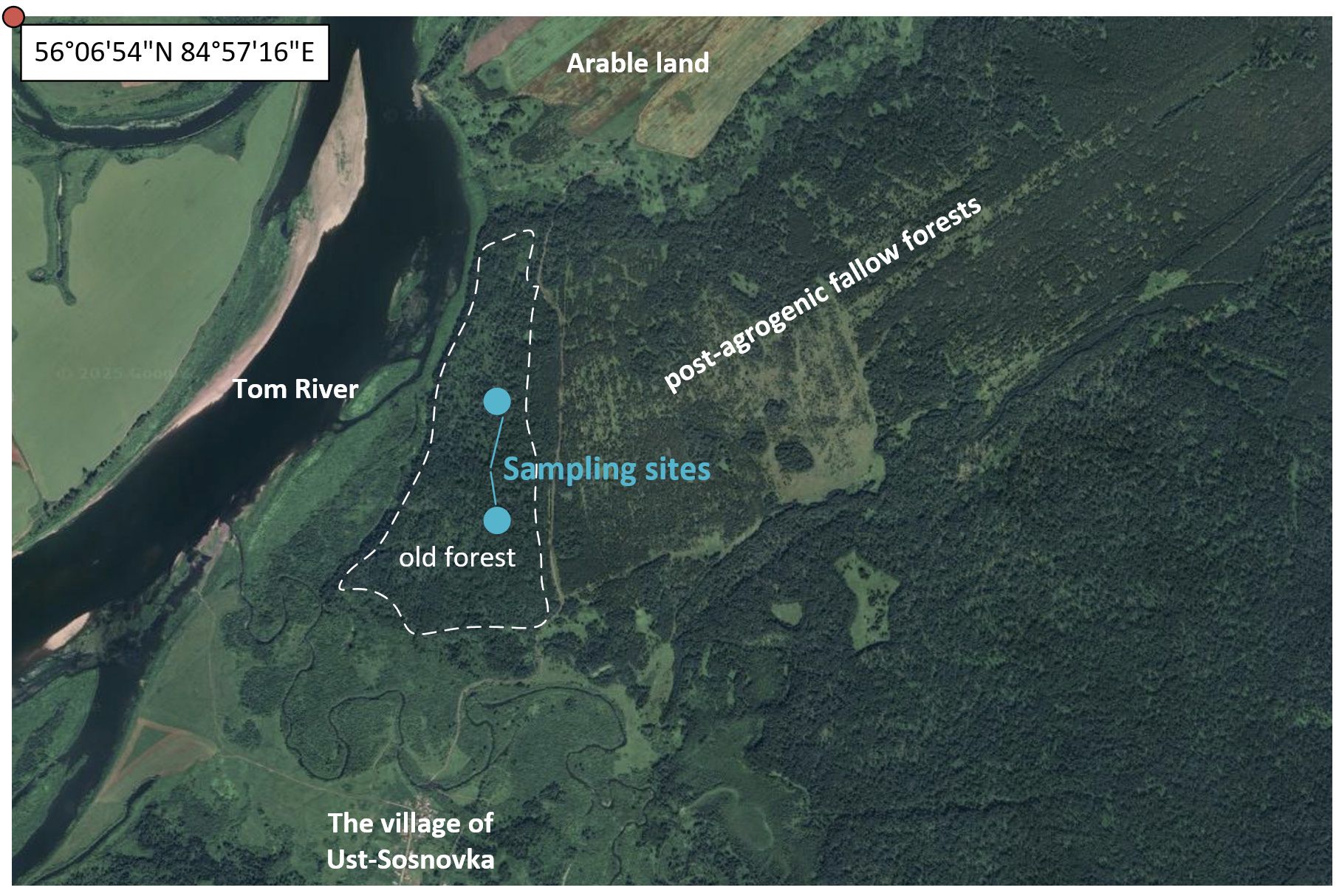 Study area and sampling sites map
