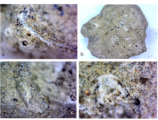 Mesomorphological structure of carbonate horizons