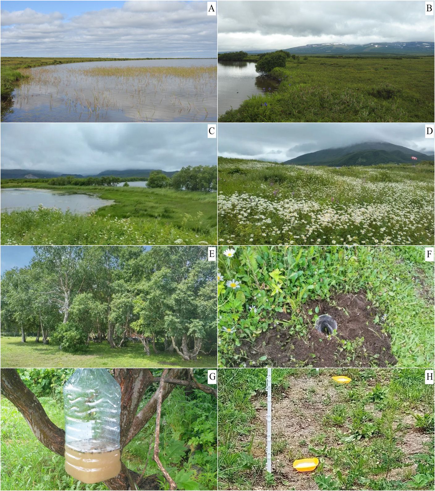 The main landscapes of the study area and some types of traps used for sampling