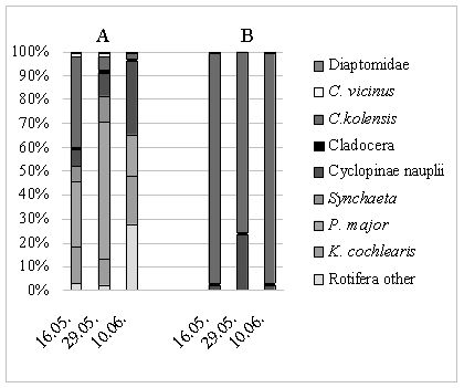 Figure 3: The proportion (%) of dominant zooplankton species in the plankton of sor (A) and in the stomachs of omul larvae (B) in May and June of 2024.