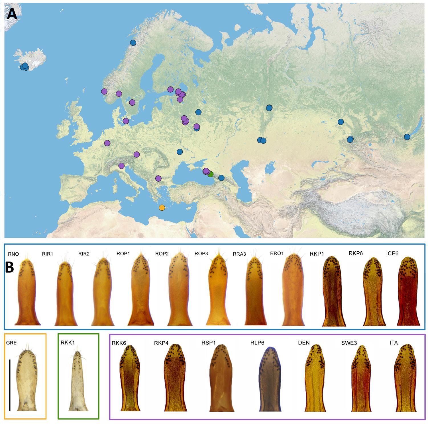 Figure 1: Distribution map and paramere variability