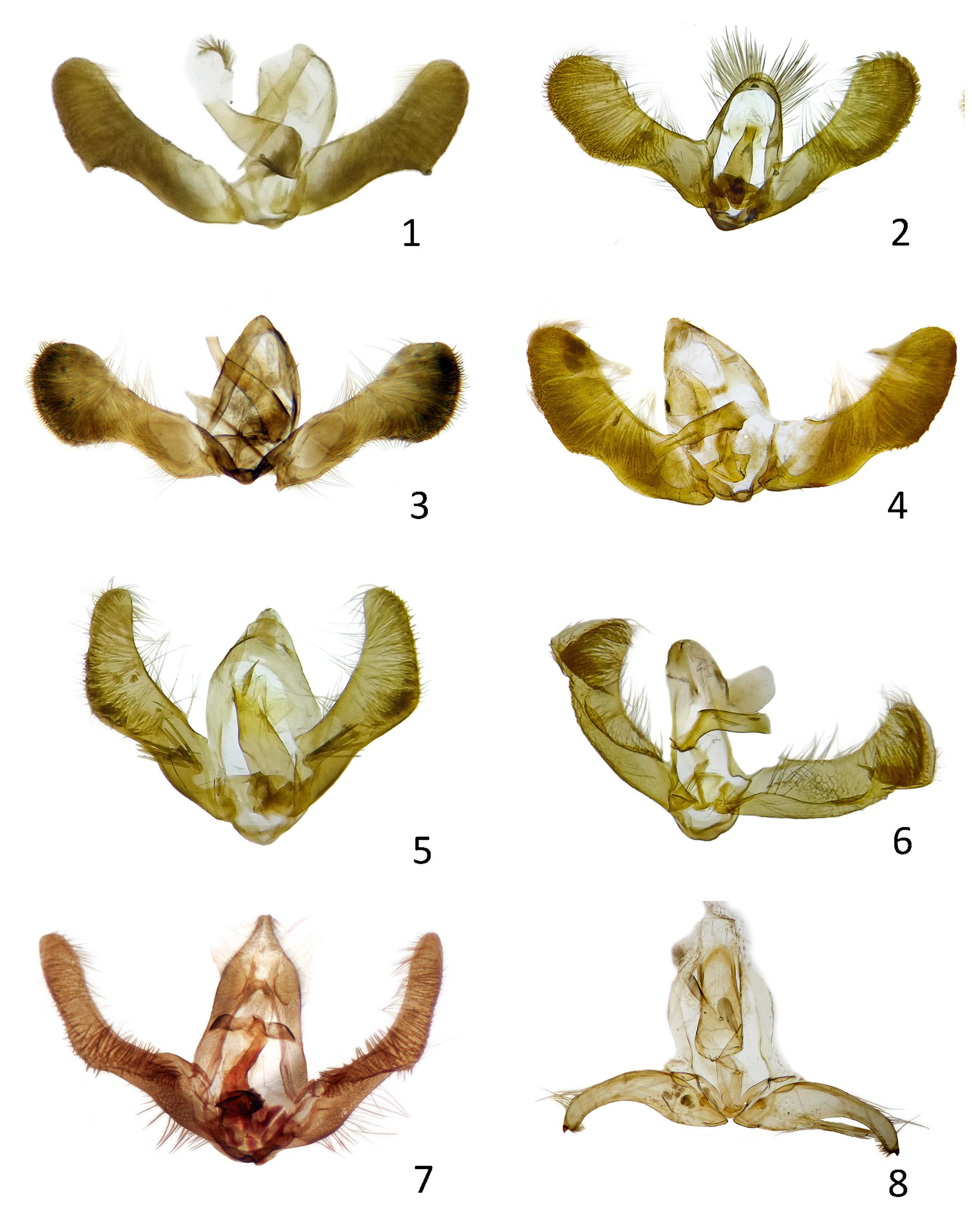 Figure 13