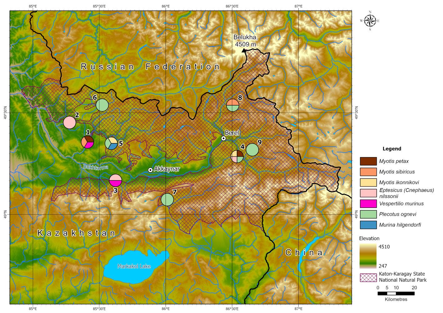 Figure 2. Bat species found in the surveyed locations