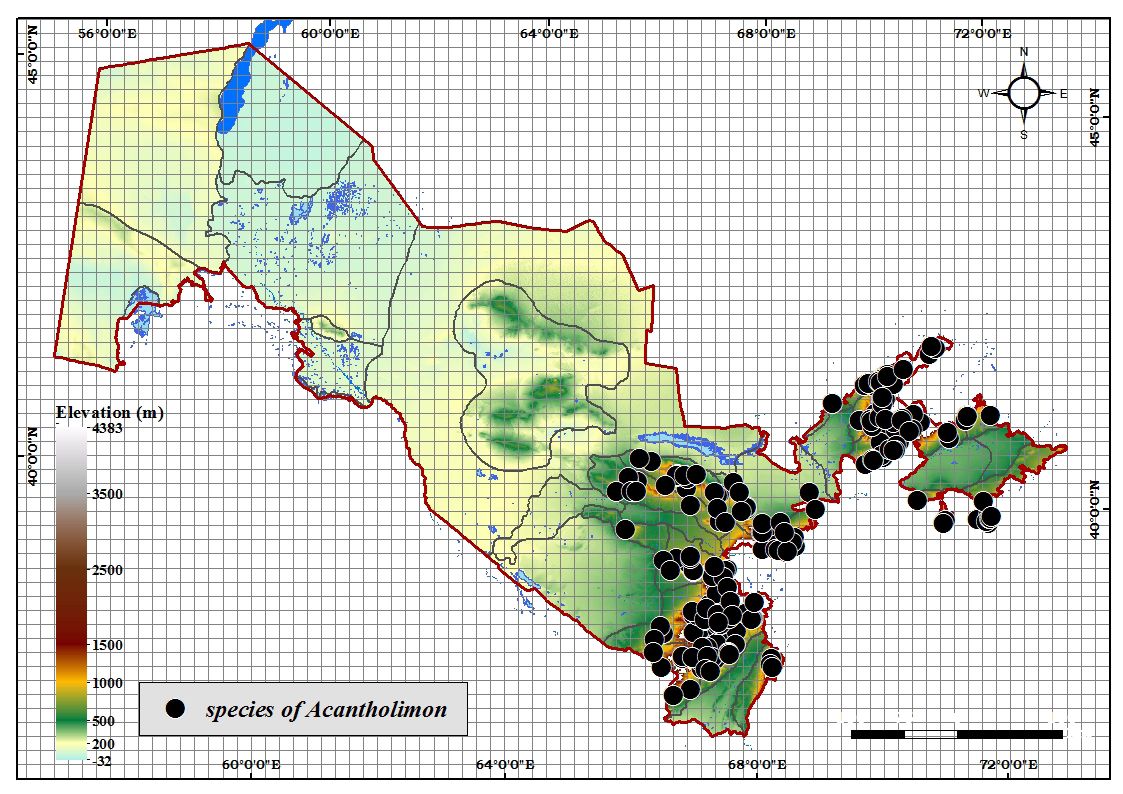 Study area and Acantholimon occurrence records in Uzbekistan