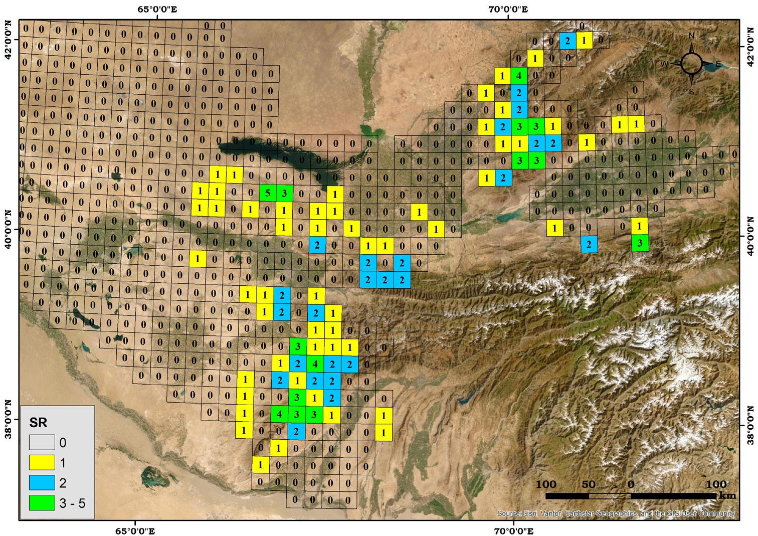 Grid-cell documented species richness of Acantholimon in Uzbekistan