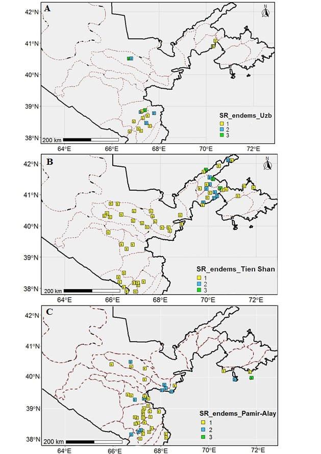 Grid-cell endemic Acantholimon richness in Uzbekistan