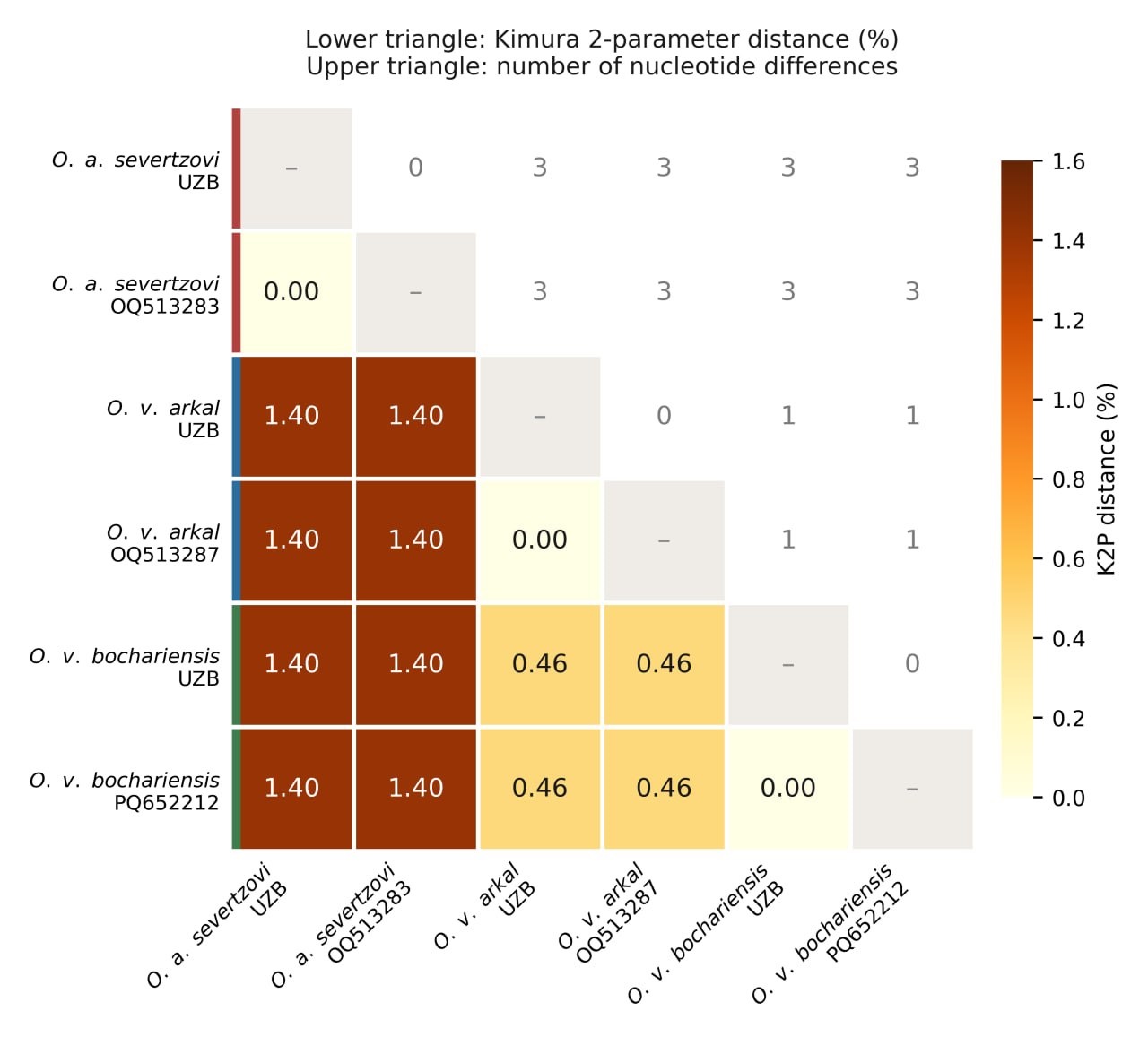 Genetic distance matrix among the studied Ovis subspecies