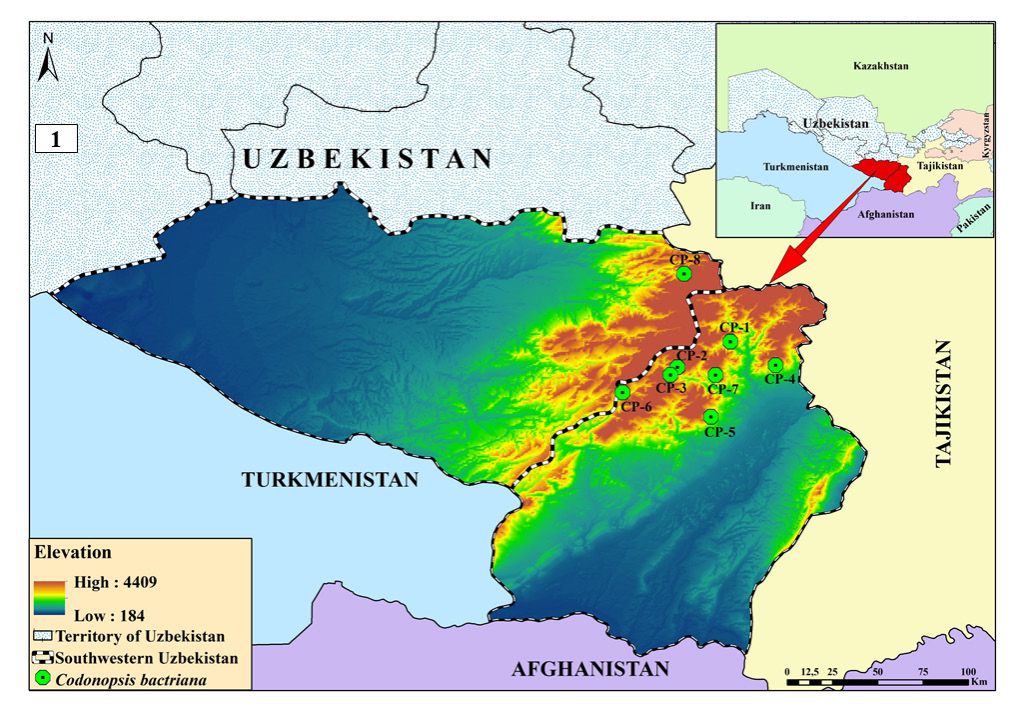 Map of the distribution of C. bactriana in Uzbekistan