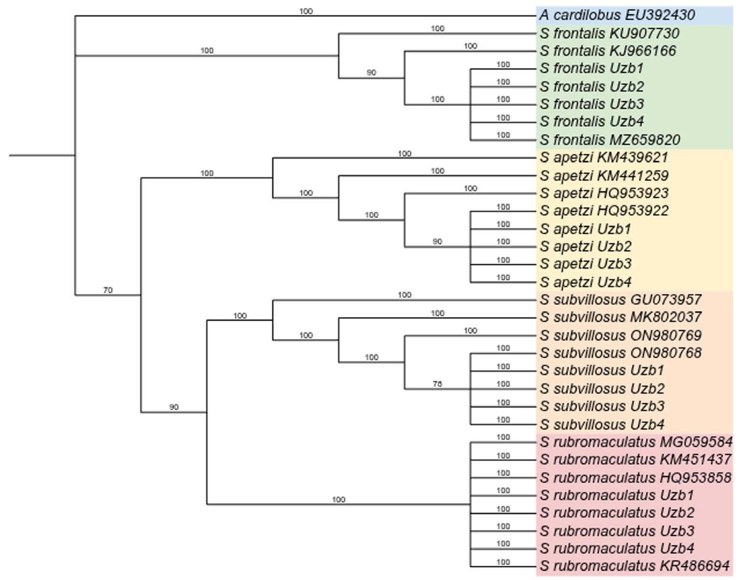 Figure 4