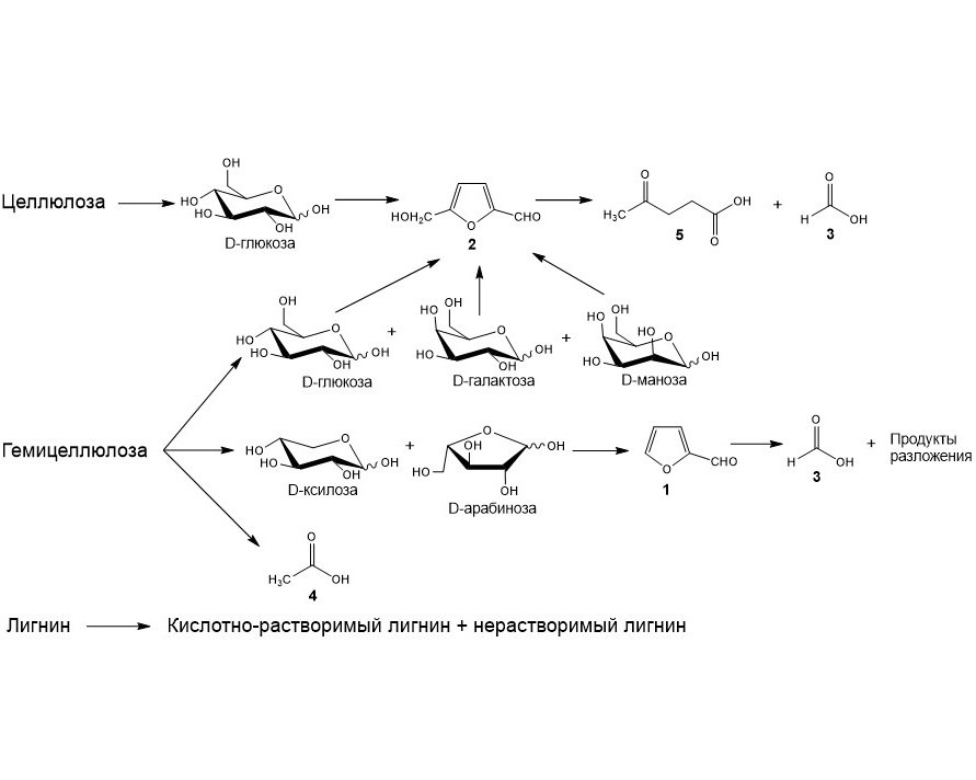 Изображение на обложке