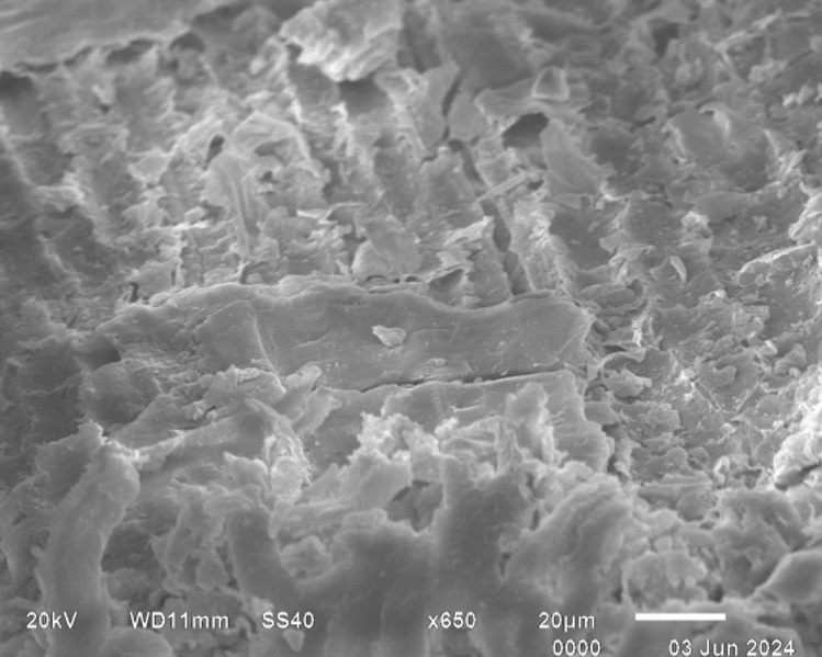 Изображение на обложке