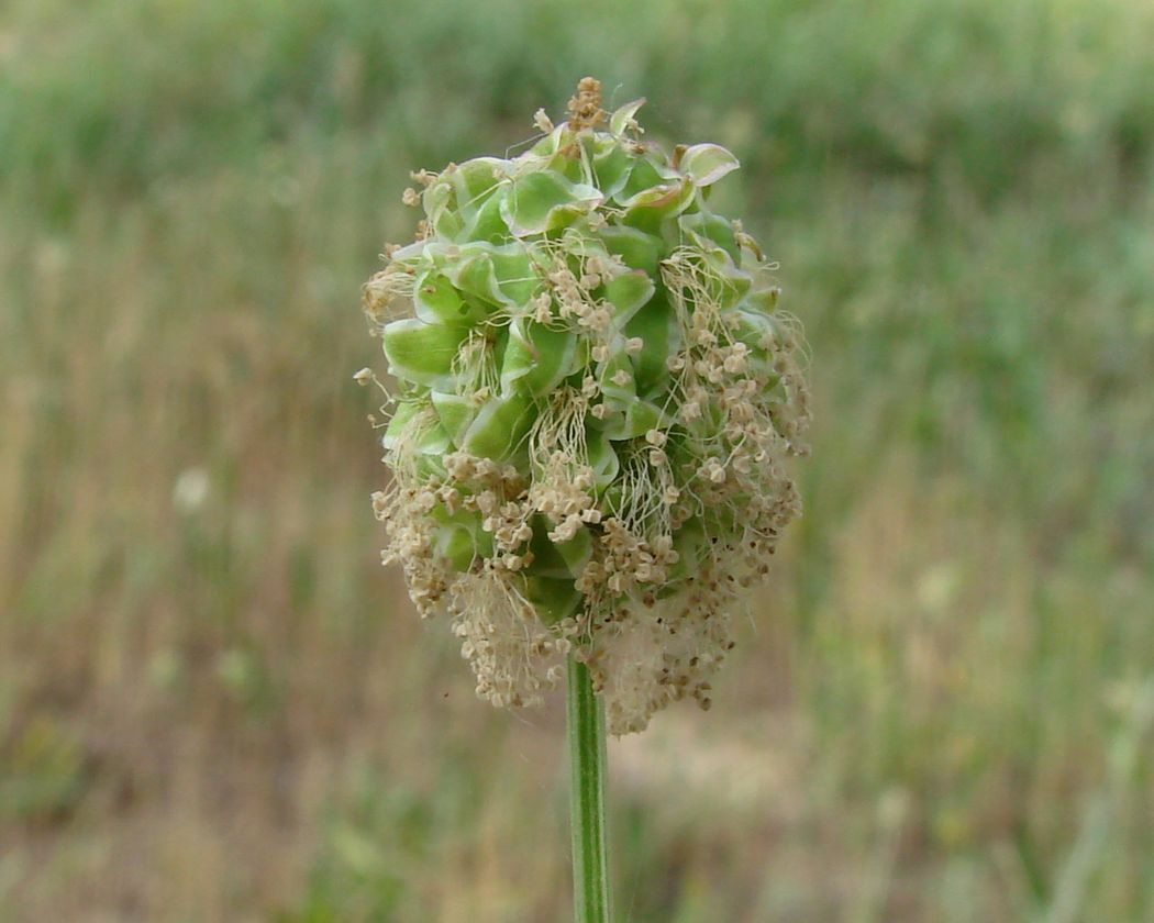 Изображение на обложке