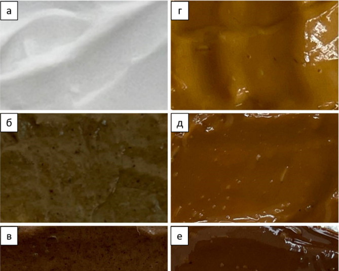 Изображение на обложке