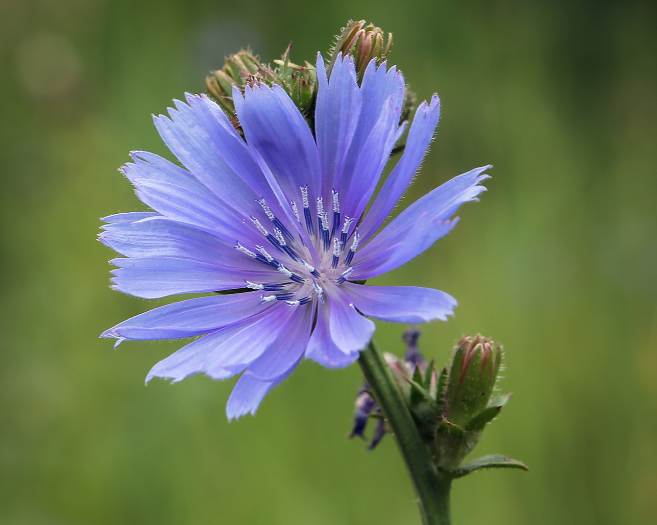 Изображение на обложке