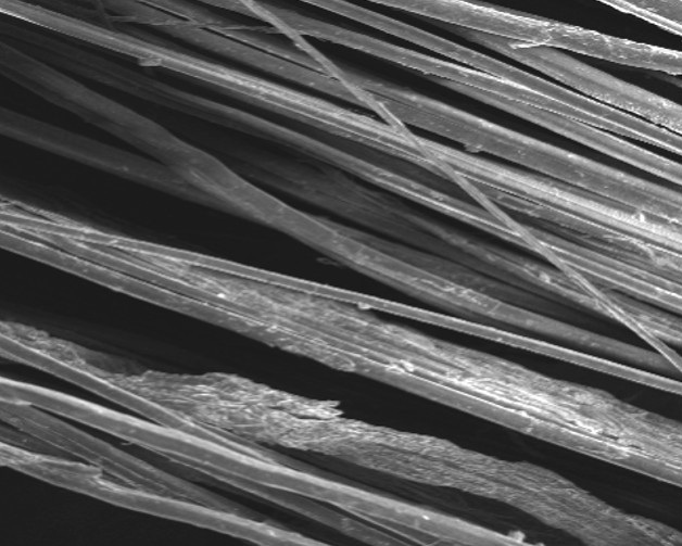 Изображение на обложке