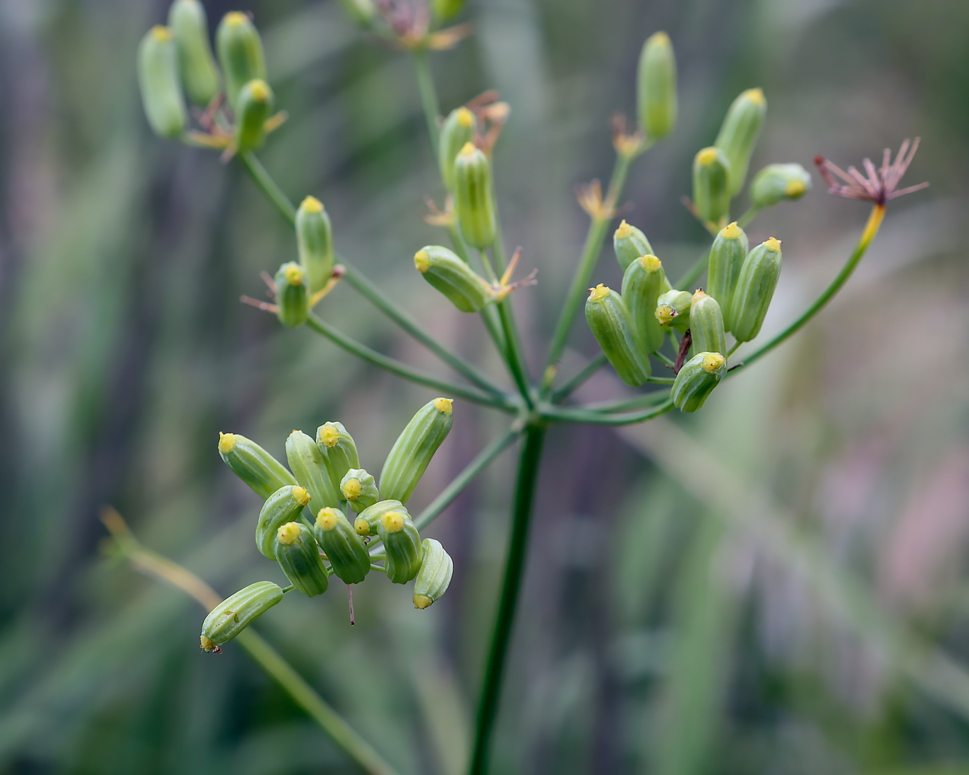 Изображение на обложке